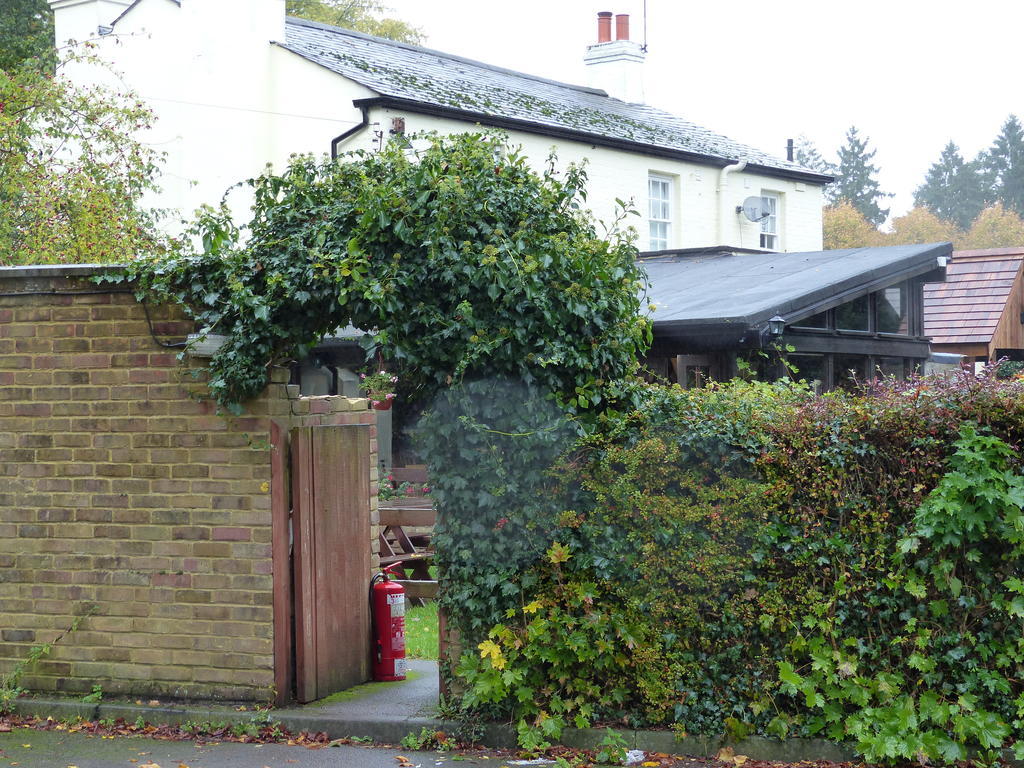 The Sun Inn Englefield Green Exterior foto